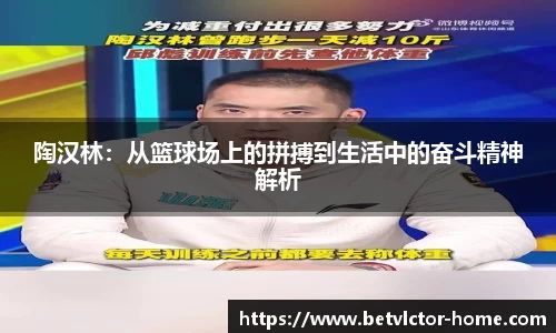 陶汉林：从篮球场上的拼搏到生活中的奋斗精神解析